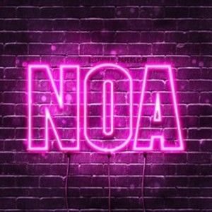Meet your Posher, Noa
